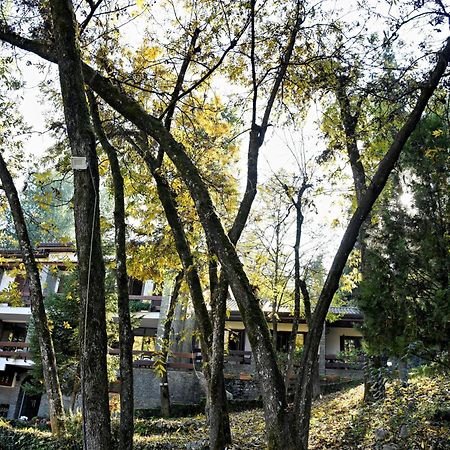 Hotel Restaurant Dreri ティラナ エクステリア 写真